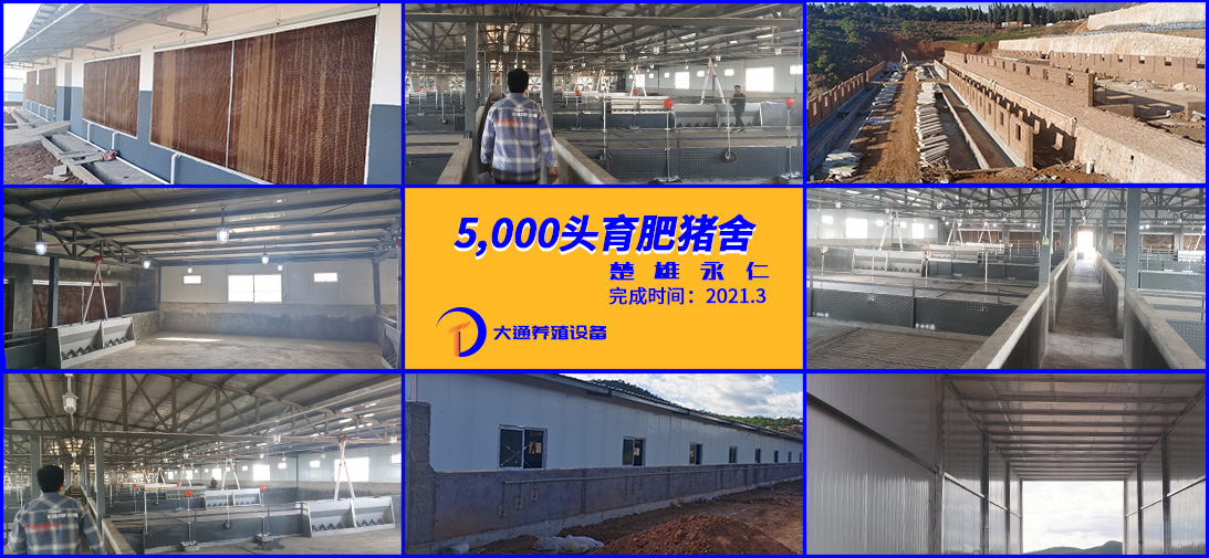 案例3.jpg 案例3.jpg