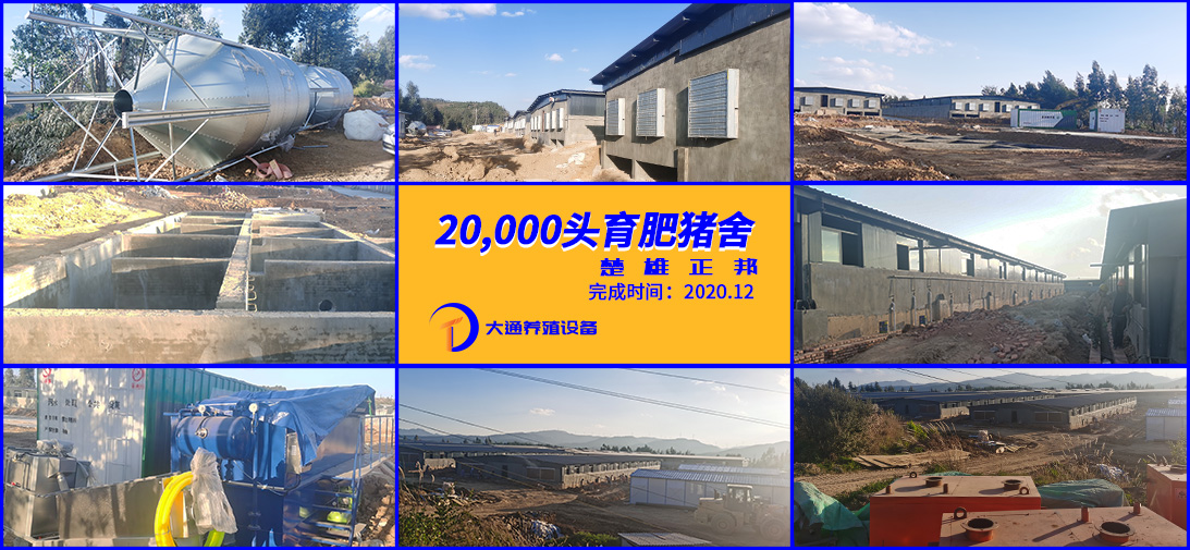 楚（chǔ）雄正邦2w頭預防豬場